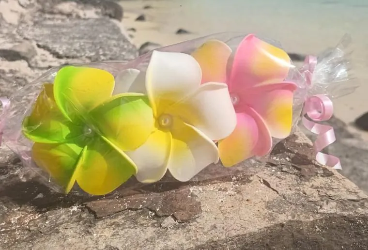 Peignes et pinces fleur de tiaré